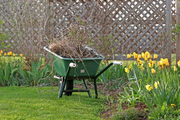 Flower Bed Cleanup Service in Saint Petersburg
