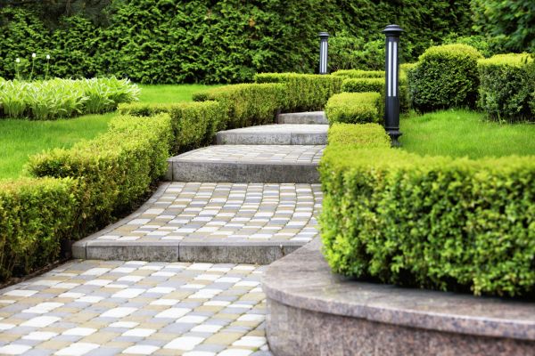 Backyard Remodeling in Saint Petersburg