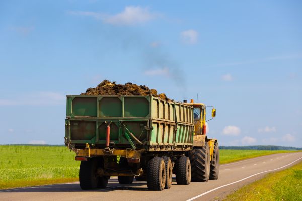 Bulk Soil Delivery in Saint Petersburg