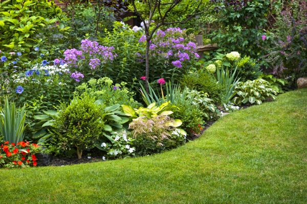 Flower Bed Service in Saint Petersburg