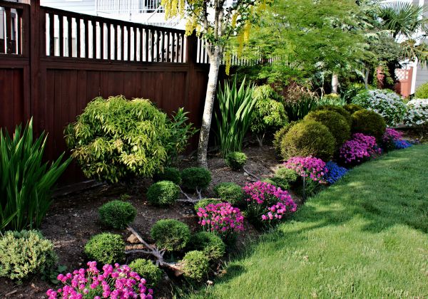 Garden Care Service in Saint Petersburg