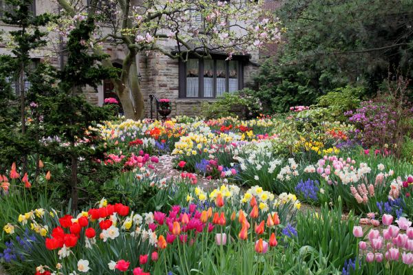 Garden Maintenance Service in Saint Petersburg