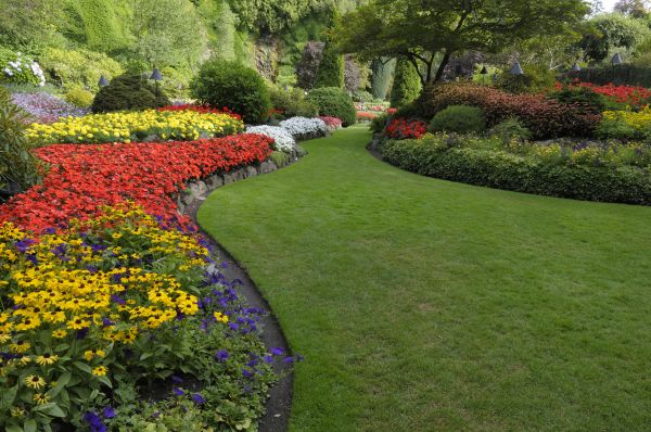 Landscaping Maintenance in Saint Petersburg