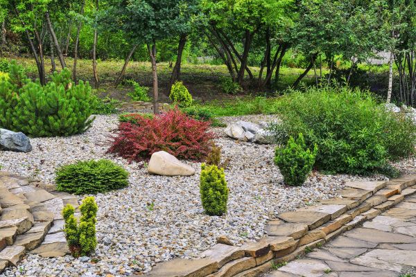 Rock Landscaping in Saint Petersburg