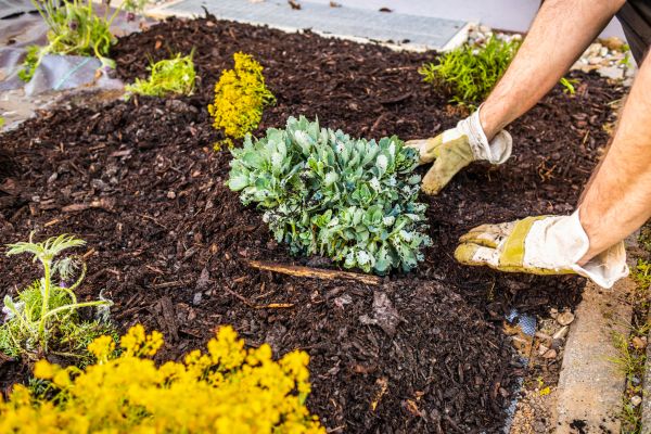 Weeding And Mulching in Saint Petersburg