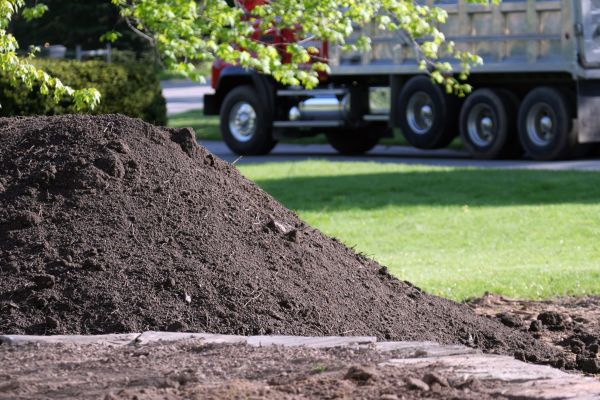 Yard Dirt Delivery in Saint Petersburg