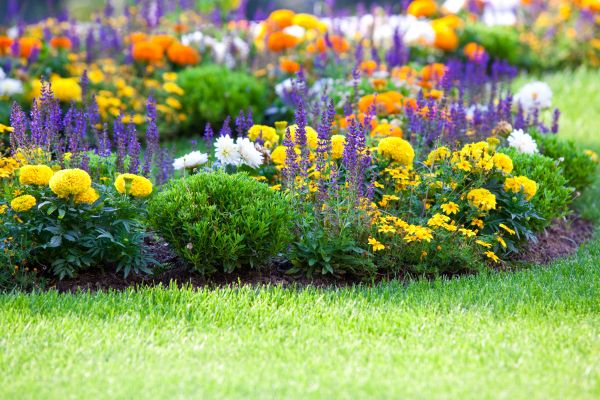 Garden Installation in Saint Petersburg