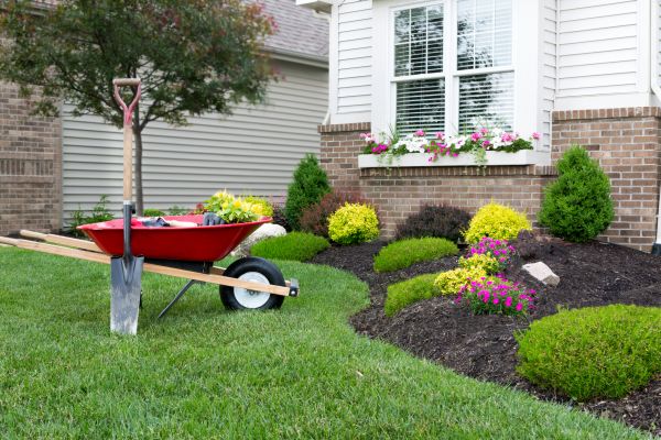 Landscape Maintenance Service in Saint Petersburg