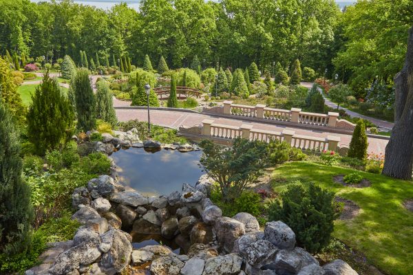 Landscape Architecture Service in Saint Petersburg