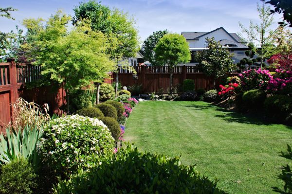 Lawn And Garden Installation in Saint Petersburg