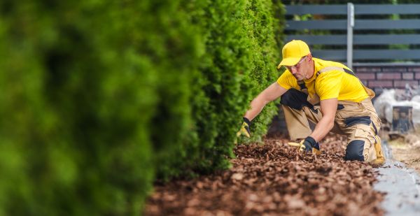 Cypress Mulch Installation in Saint Petersburg