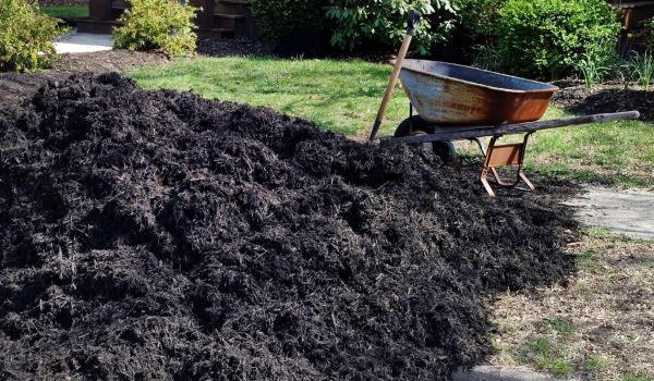 Black Mulch Installation in Saint Petersburg