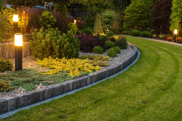 Garden Repair Service in Saint Petersburg