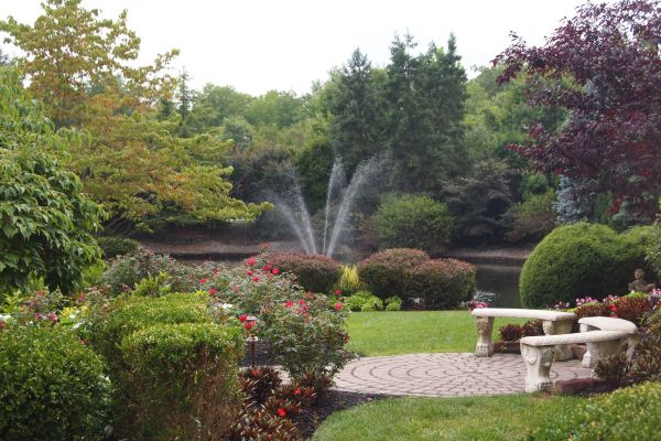 Courtyard Design Service in Saint Petersburg
