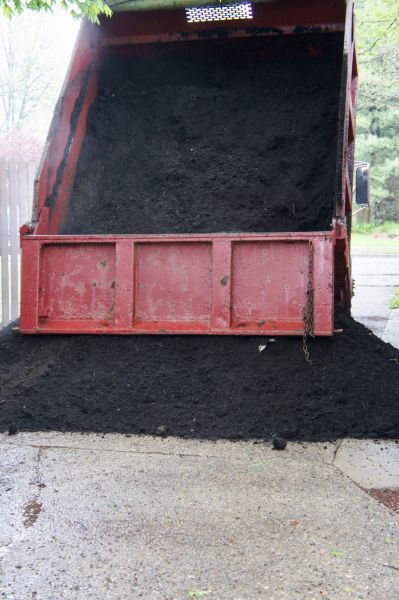 Topsoil Service in Saint Petersburg