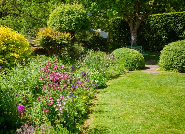 Yard Landscaping Service in Saint Petersburg