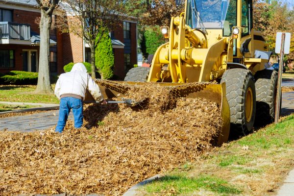 Mulch Hauling in Saint Petersburg