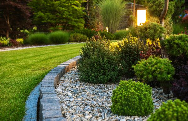 Landscaping Service in Saint Petersburg