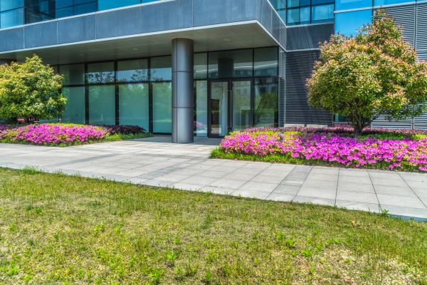 Commercial Gardening in Saint Petersburg