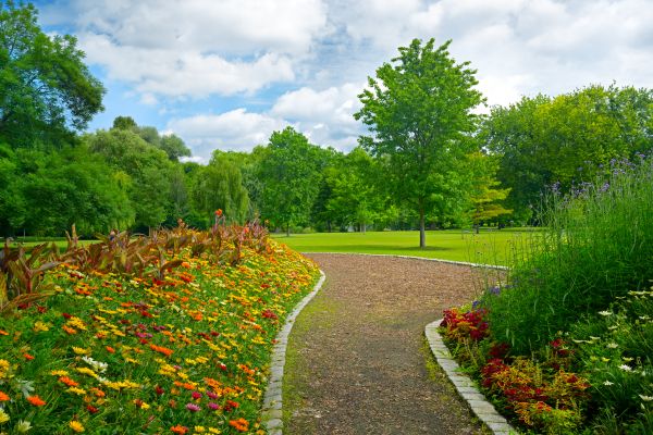 Park Landscaping in Saint Petersburg