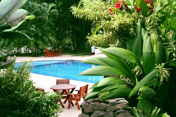 Tropical Garden Landscaping in Saint Petersburg