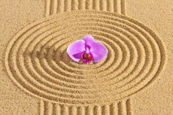 Sand Garden Landscaping in Saint Petersburg