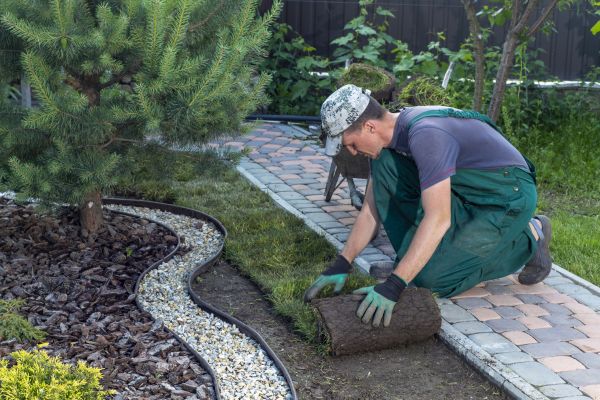 Landscaping Modification in Saint Petersburg