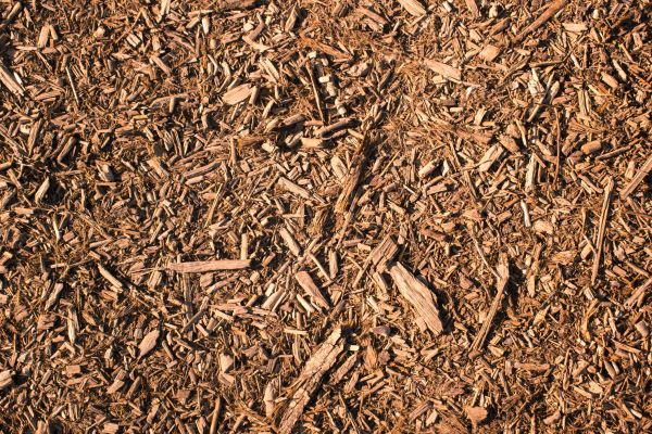Wood Chips Removal in Saint Petersburg