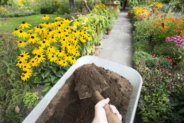Topsoil Replacement in Saint Petersburg