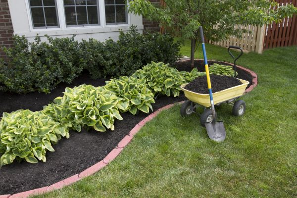 Landscape Mulching in Saint Petersburg