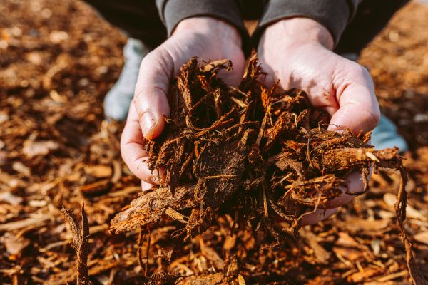 Bark Chips Delivery in Saint Petersburg