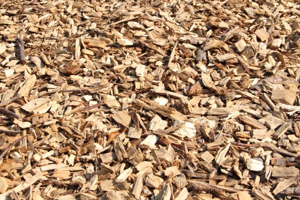 Wood Mulch Delivery in Saint Petersburg