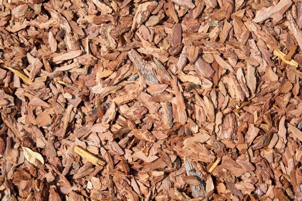 Pine Mulch Delivery in Saint Petersburg