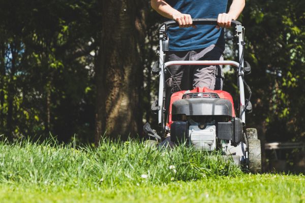 Garden Trimming Service in Saint Petersburg