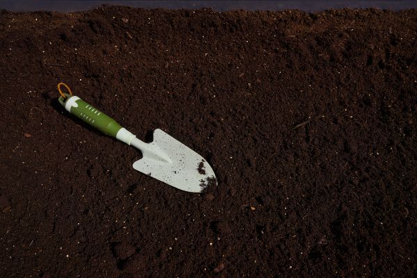 Rich Soil Delivery in Saint Petersburg
