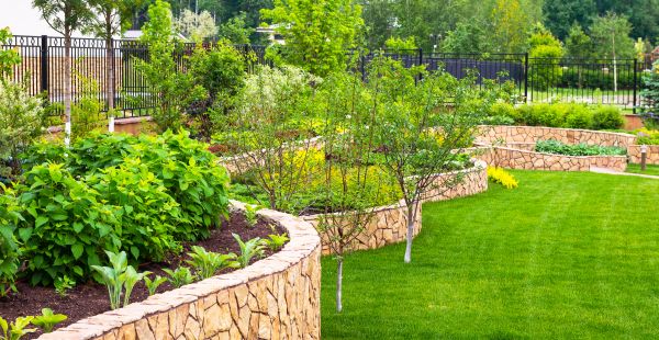 Yard Makeover Service in Saint Petersburg