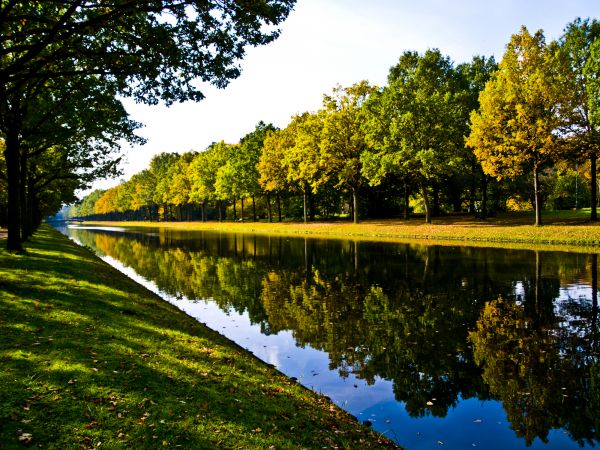 Bank Landscaping in Saint Petersburg