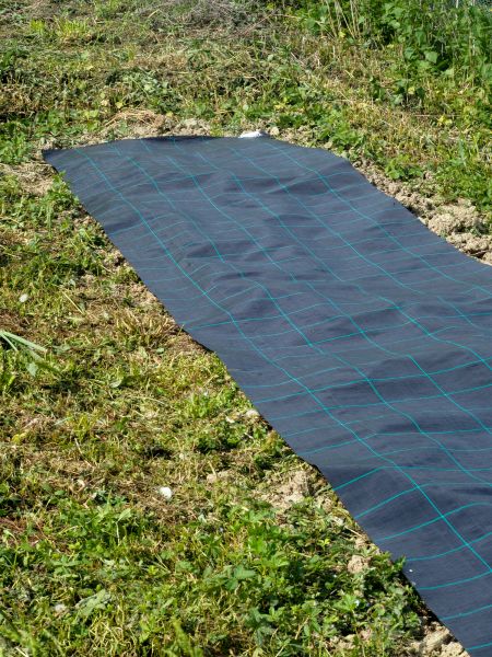 Weed Suppressant Installation in Saint Petersburg