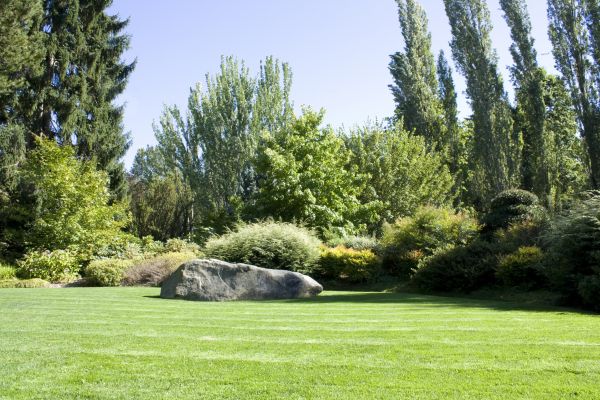 Yard Enlargement in Saint Petersburg