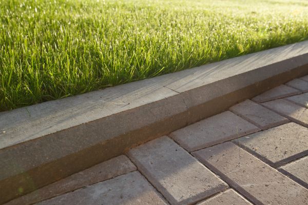 Lawn Edging Replacement in Saint Petersburg