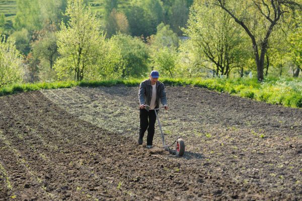 Plant Bed Weeding in Saint Petersburg