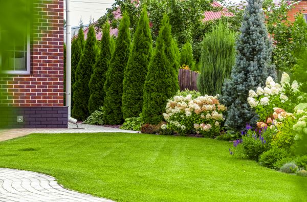 Spring Landscaping in Saint Petersburg