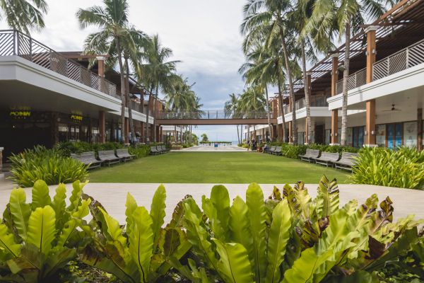 Commercial Lawn Renovation in Saint Petersburg