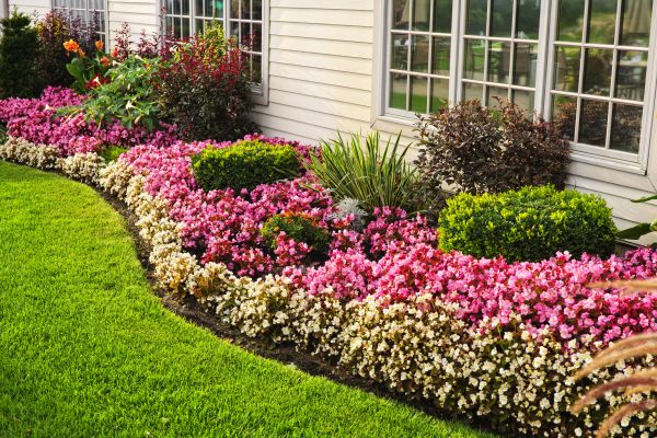 Garden Landscape Design in Saint Petersburg