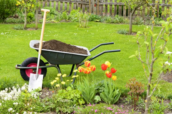 Spring Yard Renovation in Saint Petersburg
