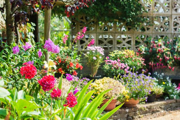 Spring Garden Maintenance in Saint Petersburg