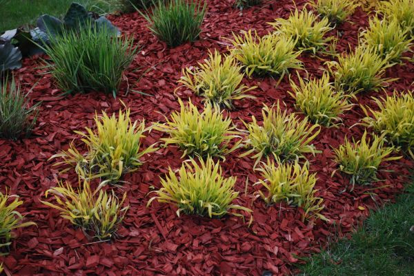 Red Mulch Installation in Saint Petersburg