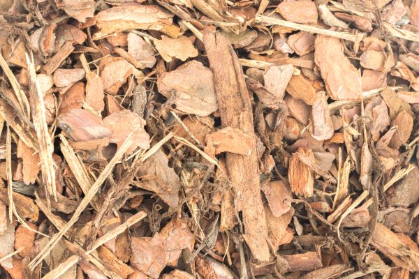 Bark Mulch Installation in Saint Petersburg