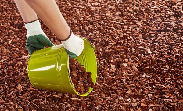 Wood Chip Landscaping in Saint Petersburg