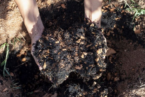 Organic Mulch Installation in Saint Petersburg